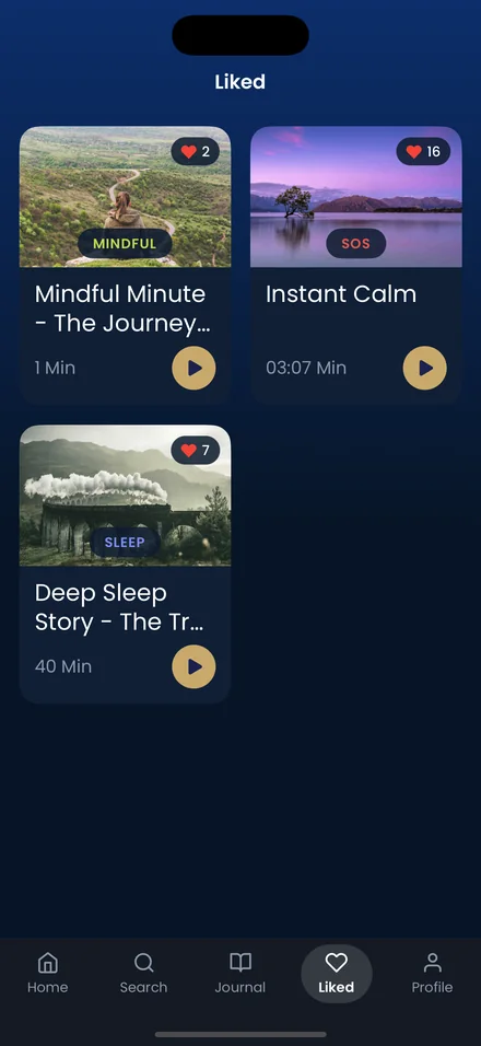 The Liked screen showing saved sessions the user has added to their favourites.